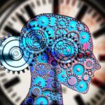 Projekt – PROGRAM PÉČE A PODPORY