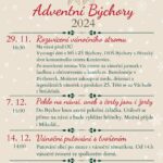 Rozsvícení vánočního stromku