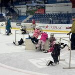 Poslední bruslení našich nejmenších v tomto roce