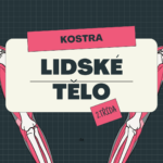 Lidské tělo