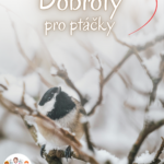 Dobroty pro ptáčky