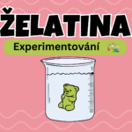 Želatina